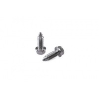 CNC Racing Swing arm pivot Screws for Panigale 1199 / 1299 R FE